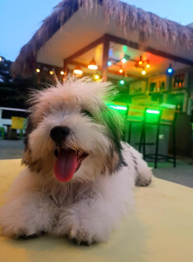 Antwet Backpacker'S Inn & Rooftop Bar Dumaguete City Kültér fotó